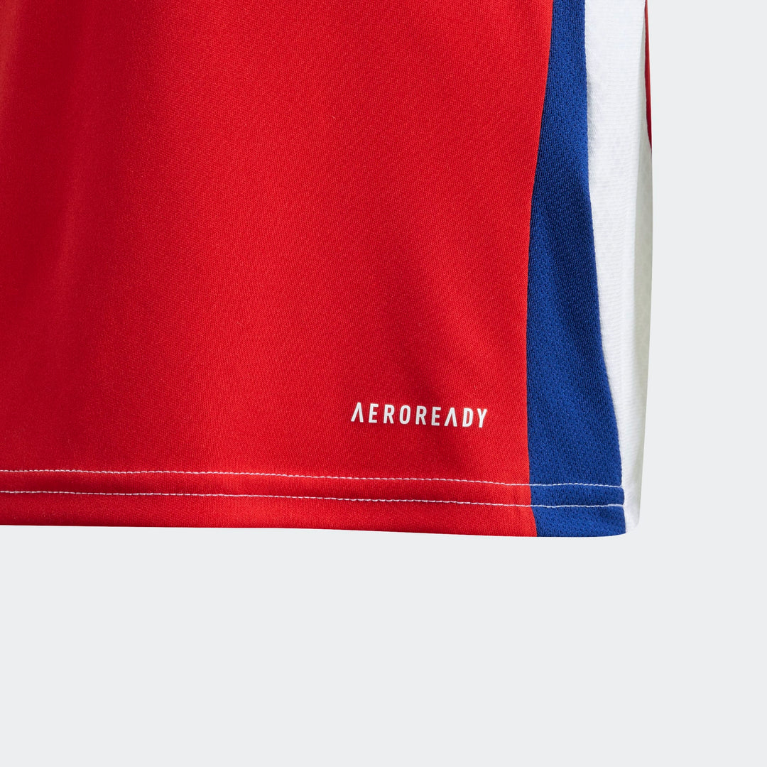 Arsenal Official adidas Mini Kit