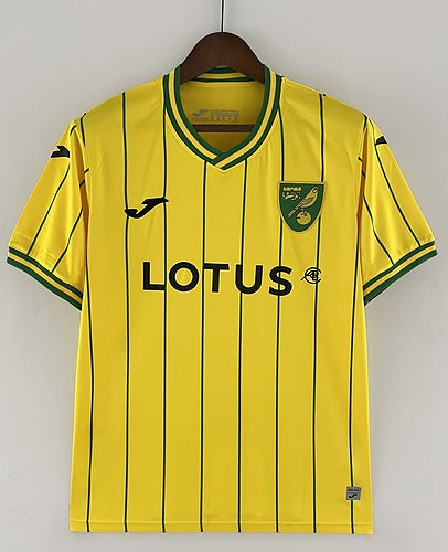 Norwich 2022/23 Replica Home Shirt